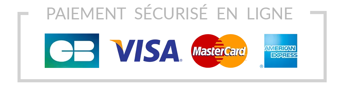 Paiement sécurisé en ligne : CB, Visa, Mastercard, American Express