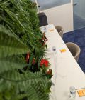 Coworking startups Lyon